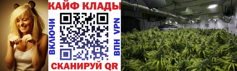 Наркота Можга А ПВП  МЕФ  Галлюциногенные грибы  Конопля 