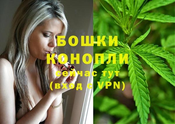 тгк Богородицк
