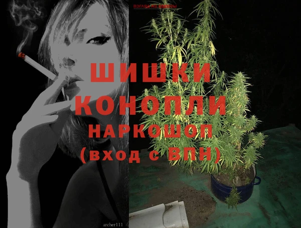 соль ск Белокуриха