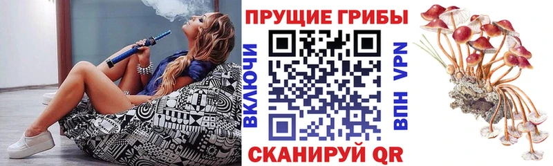 Галлюциногенные грибы ЛСД  цены   Можга 